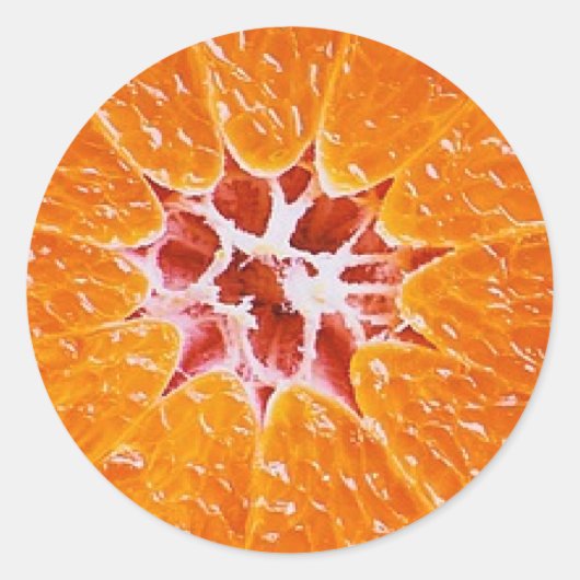 Oranje segment ronde sticker (Voorkant)