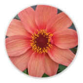 Oranje Single Dahlia Floral Keramische Knop (Voorkant)