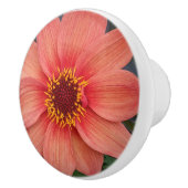Oranje Single Dahlia Floral Keramische Knop (Rechts)