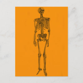 Oranje skeletschedel briefkaart