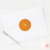 Oranje slice-Waterverf - sticker (Envelop)
