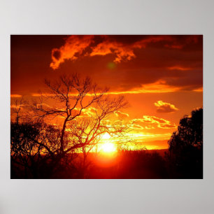 Oranje Squash Sunset Poster