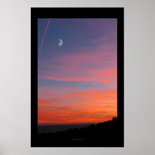 oranje stemming poster