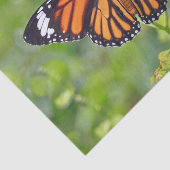 Oranje Striped Butterfly foto Tissuepapier (Detail)