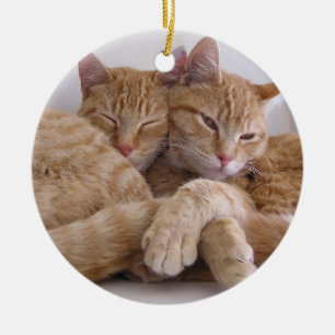 Oranje Tabby Brothers Keramisch Ornament