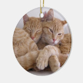 Oranje Tabby Brothers Keramisch Ornament (Links)
