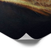 Oranje Tabby Cat "Blijf sterk" gekleurde potloodku Poster (Hoek)