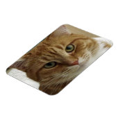 Oranje Tabby Cat Flexible Magnet Magneet (Linkerzijde)