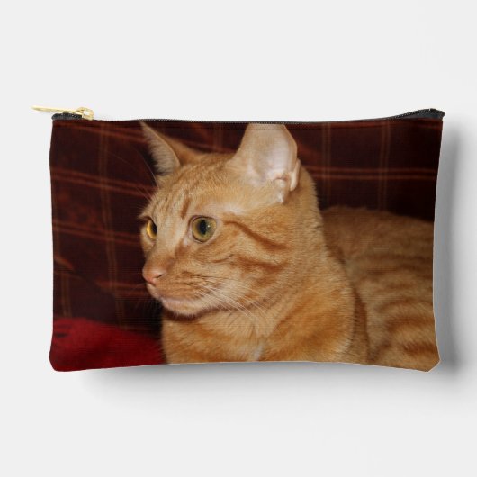 Oranje Tabby Cat Gezichtsprofiel Etui (Voorkant)