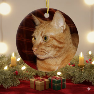 Oranje Tabby Cat Gezichtsprofiel Keramisch Ornament