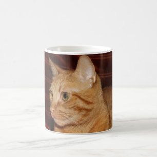 Oranje Tabby Cat Gezichtsprofiel Koffiemok