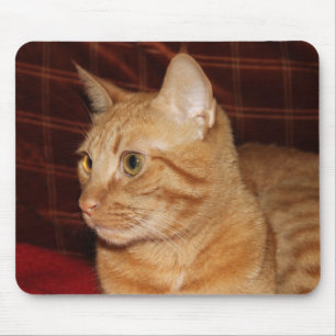 Oranje Tabby Cat Gezichtsprofiel Muismat
