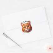  Oranje Tabby Cat · Personaliseer Ronde Sticker (Envelop)