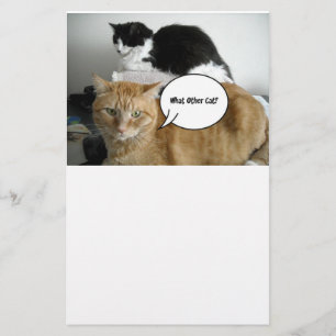 Oranje Tabby Cat Sorry Briefpapier