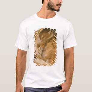 Oranje tabby die slaapt in de wasmand t-shirt