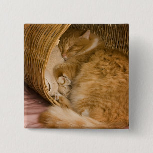 Oranje tabby die slaapt in de wasmand vierkante button 5,1 cm