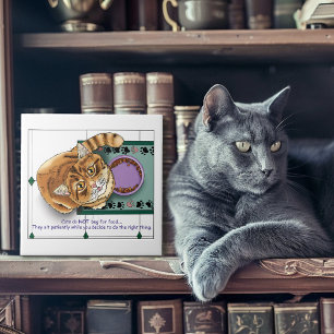 Oranje Tabby Food Bowl Keuken Tegeltje