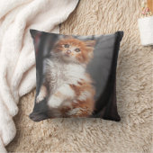 Oranje Tabby Kitten Kussen (Deken)