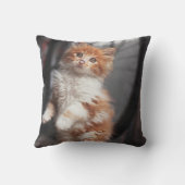 Oranje Tabby Kitten Kussen (Achterkant)