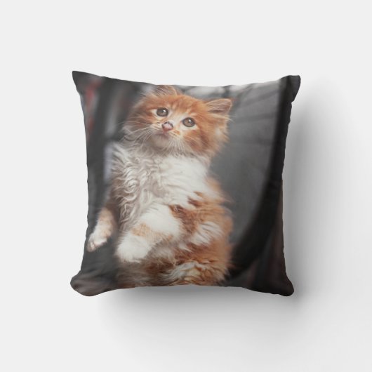 Oranje Tabby Kitten Kussen (Voorkant)