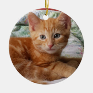 Oranje Tabby Kitten Ornament