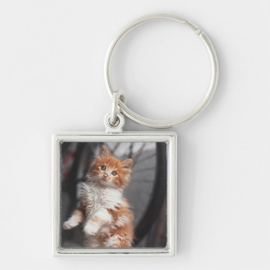 Oranje Tabby Kitten Sleutelhanger (Voorkant)