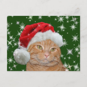 Oranje tabby Santa Feestdagenkaart