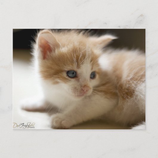 Oranje tablet Briefkaart (Voorkant)