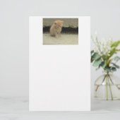 Oranje tablet briefpapier (Staand voorkant)