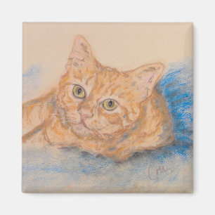 Oranje tablet Cat Art Magnet Magneet