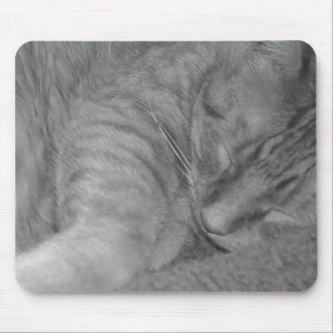 Oranje tablet Cat/Black & White foto Muismat