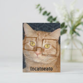 Oranje tablet Cat/Incognito Briefkaart (Staand voorkant)
