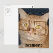 Oranje tablet Cat/Incognito Briefkaart (Voorkant / Achterkant)