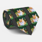 Oranje tablet Cat Necktie Stropdas (Opgerold)