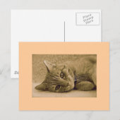 Oranje tablet Cat Post Card Briefkaart (Voorkant / Achterkant)