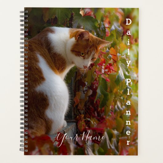 Oranje tablet - Daily Planner - HAMbWG (Voorkant)