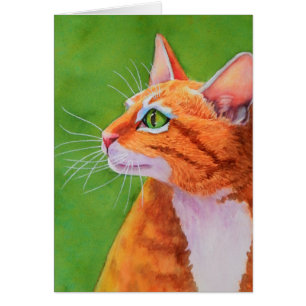 Oranje tablet - kat - whiskers