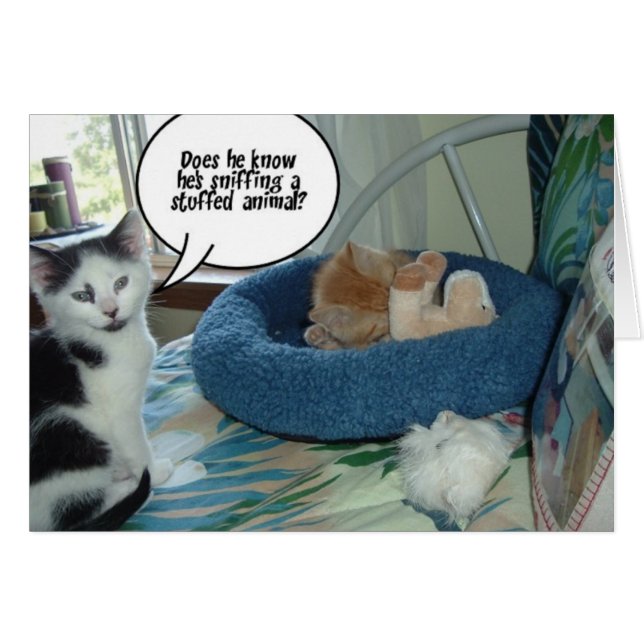 Oranje tablet Kitty Cat (Voorkant Horizontaal)