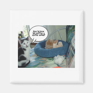 Oranje tablet Kitty Cat Magneet