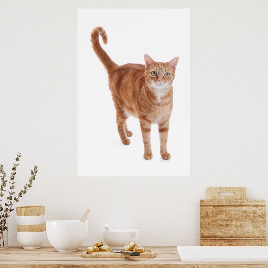 Oranje tablet poster (Keuken)