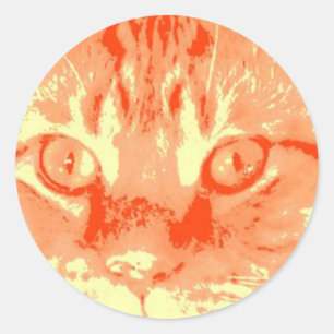 Oranje tablet ronde sticker