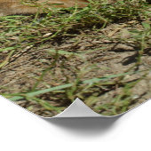 Oranje tabletten poster (Hoek)