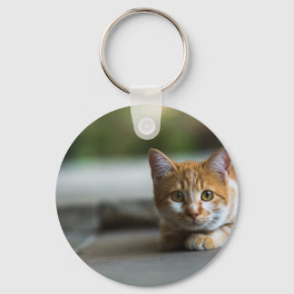 Oranje tafel kitten. sleutelhanger