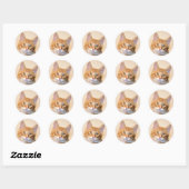 Oranje tafeltje kitten ronde sticker (Vel)