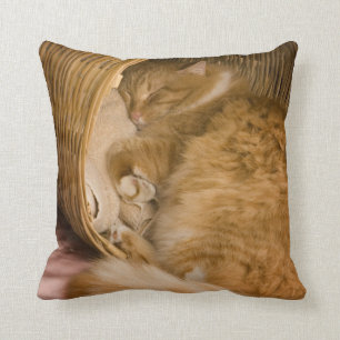 Oranje tafeltje met slaapstand in hamer kussen