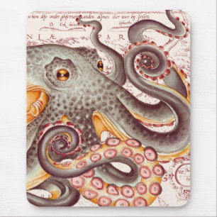 Oranje Tangerine Octopus Tentacles Map Muismat