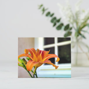 Oranje Tiger Lily Briefkaart