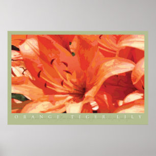 Oranje Tiger Lily Print