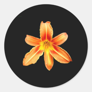 Oranje Tiger Lily Stickers