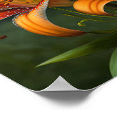 Oranje Tijger Lelies Bloemenkunst Print Poster (Hoek)
